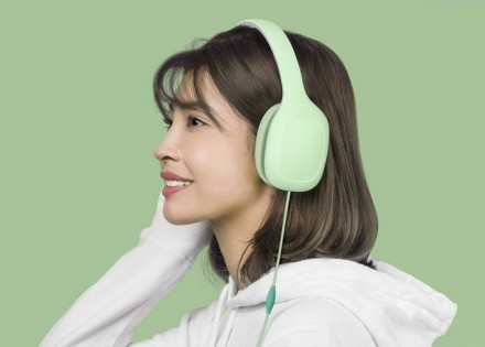 Навушники з мікрофоном Xiaomi MI Headphones 2 Comfort Green (ZBW4365TY)